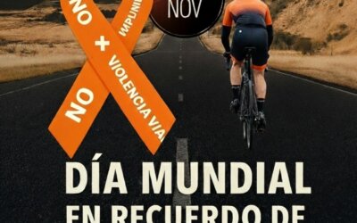 Dia Mundial en recuerdo de las víctimas de violencia vial