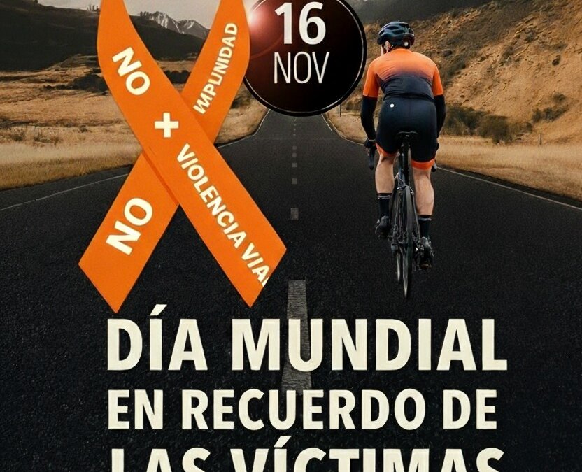 Dia Mundial en recuerdo de las víctimas de violencia vial